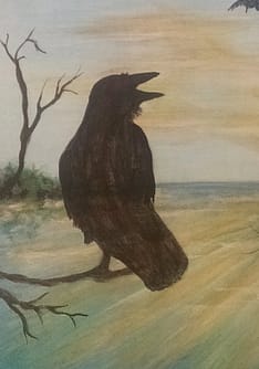 Translucent crow WIP © Bernadette Wulf