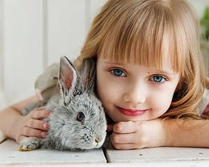 Rabbits make great vegan pets