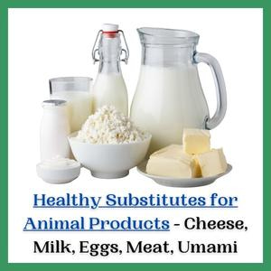 Healthy Vegan Substitutes for Animal Products