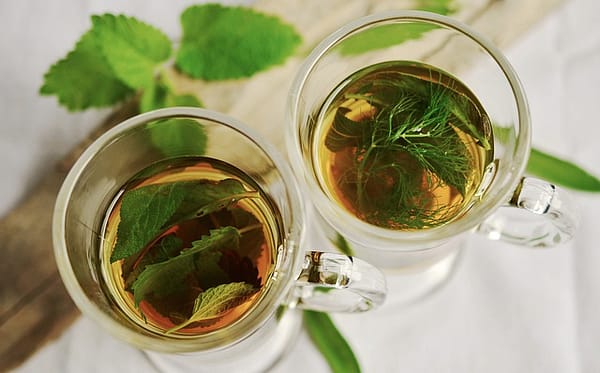 Herbal tea - Grow Medicinal Herbs Indoors